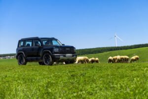 GWM Haval H7 en un campo junto a una zona de acampada