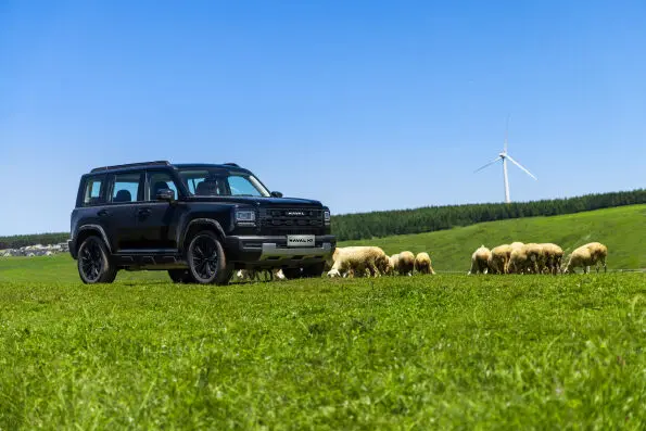 GWM Haval H7 en un campo junto a una zona de acampada
