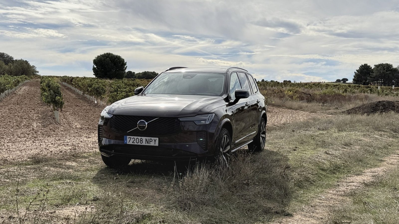 Vista delantera del Volvo XC90 T8 en el campo