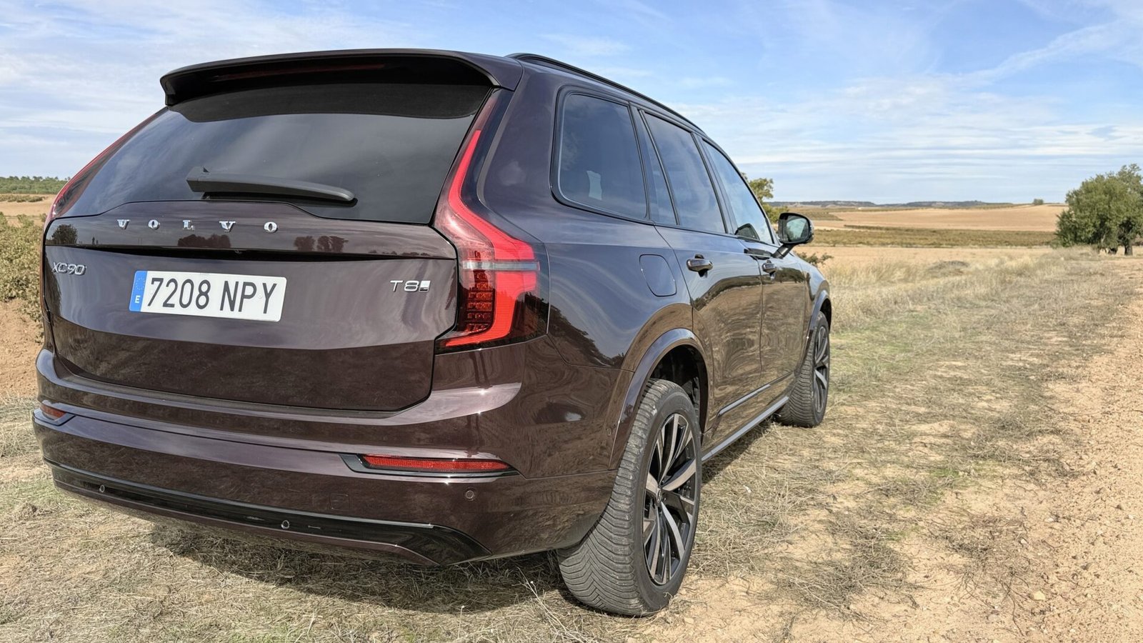 Portón y pilotos traseros verticales del SUV
